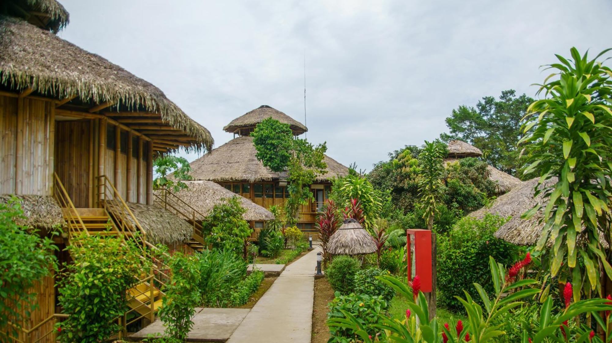 La Selva Eco-Lodge & Retreat Providencia Εξωτερικό φωτογραφία