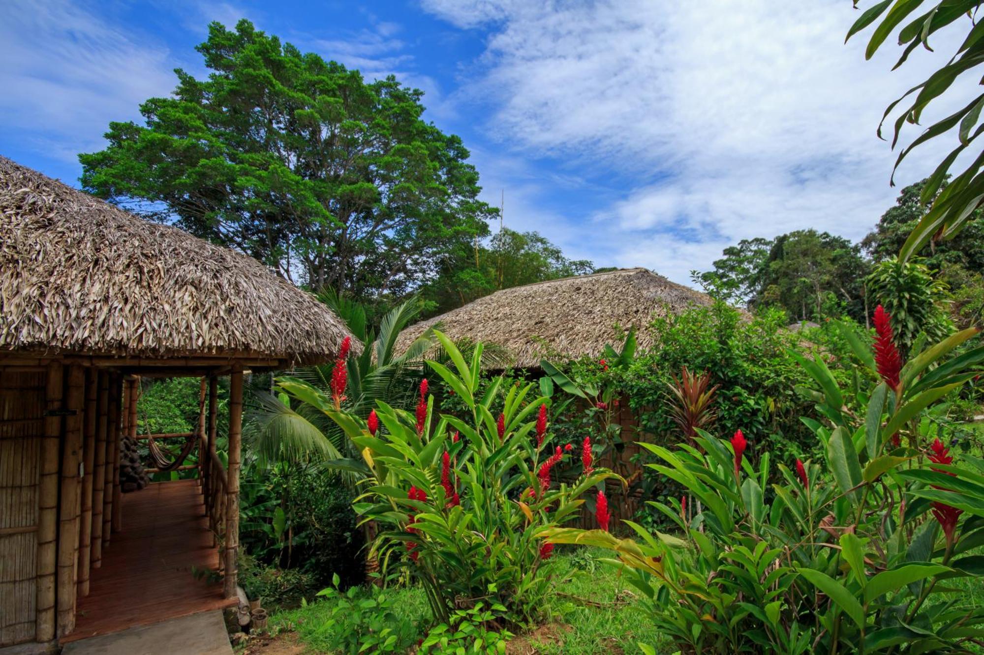 La Selva Eco-Lodge & Retreat Providencia Εξωτερικό φωτογραφία