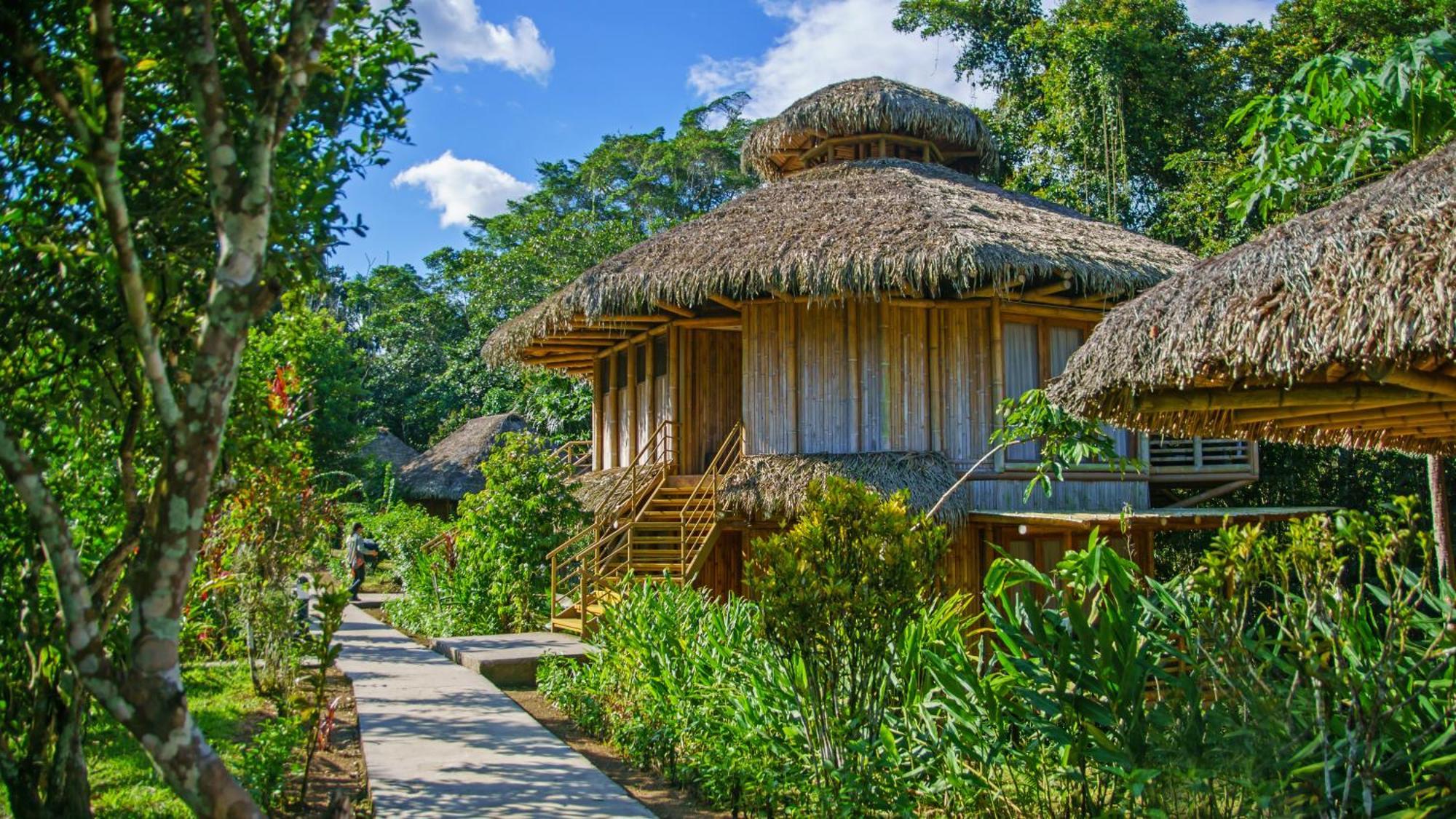 La Selva Eco-Lodge & Retreat Providencia Εξωτερικό φωτογραφία