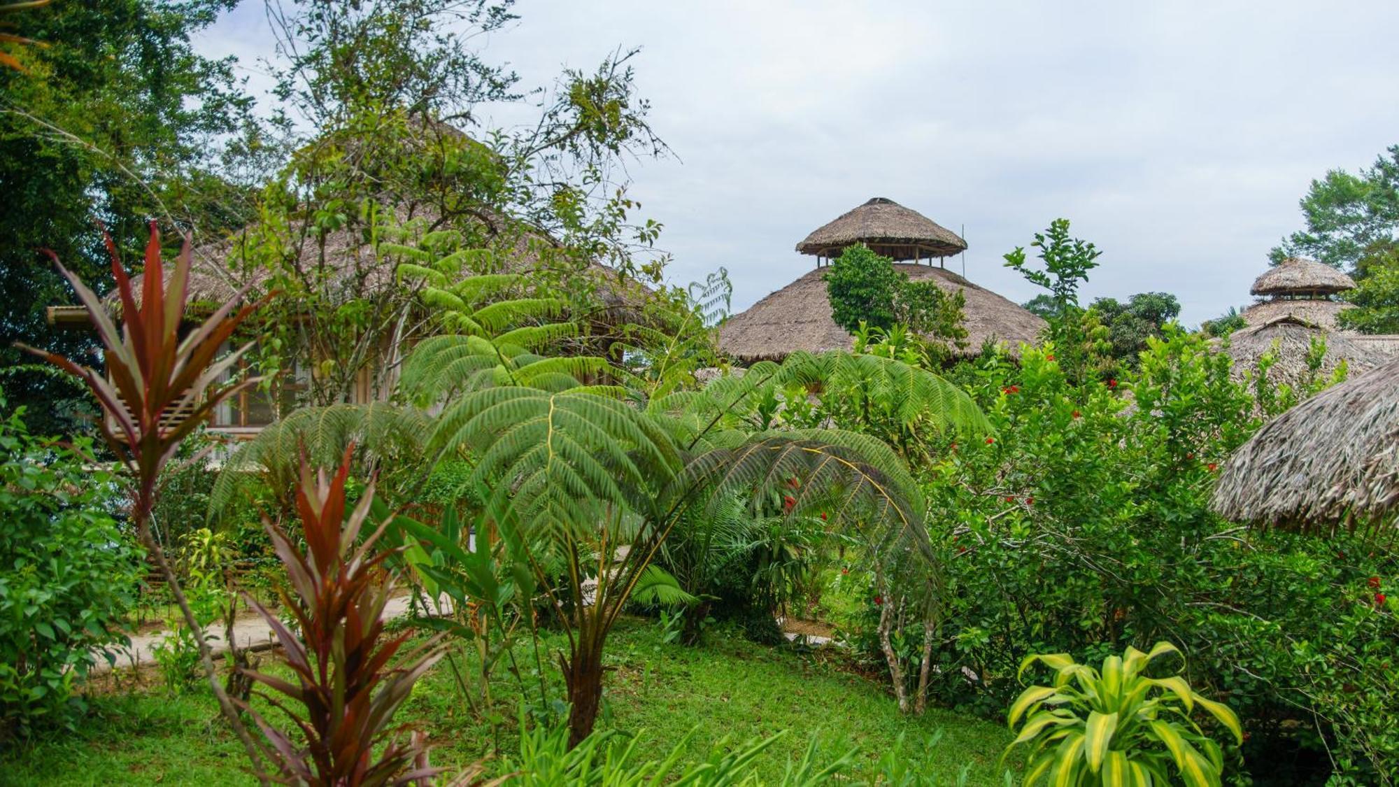 La Selva Eco-Lodge & Retreat Providencia Εξωτερικό φωτογραφία
