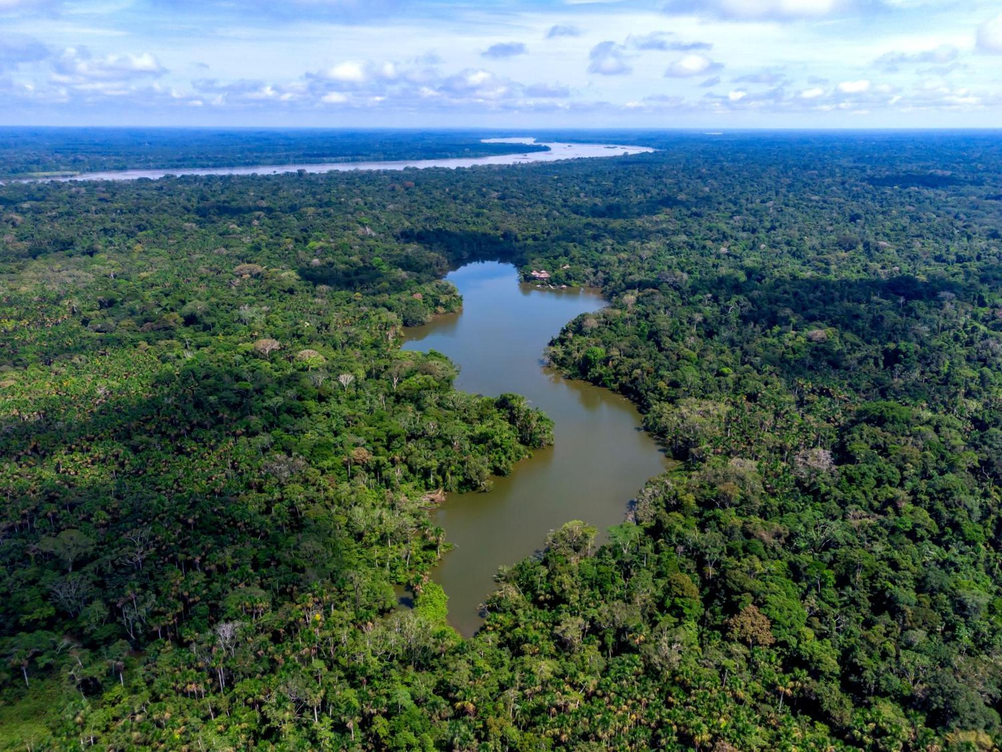 La Selva Eco-Lodge & Retreat Providencia Εξωτερικό φωτογραφία